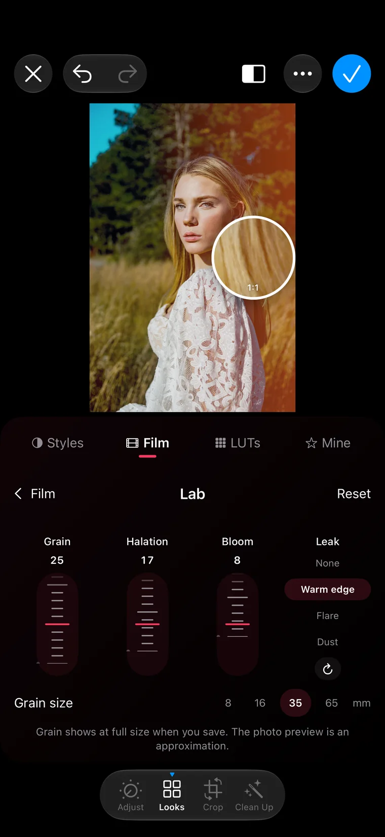 The Lab: grain, halation and bloom faders, a warm edge light leak and the grain loupe