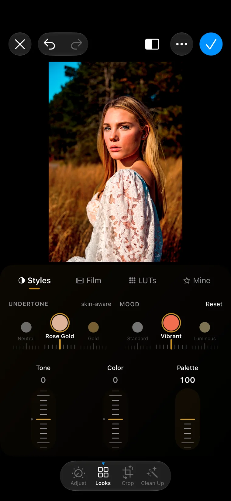 Styles: the Undertone wheel on Rose Gold and the Mood wheel on Vibrant