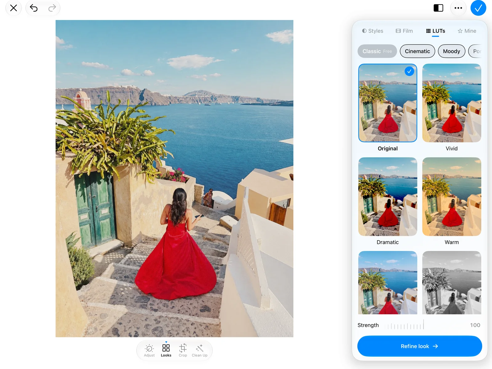 Perfect Photos on iPad in landscape, with the Looks panel beside the photo